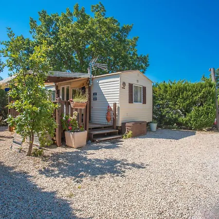 Cocoon 생트크루아드베르동